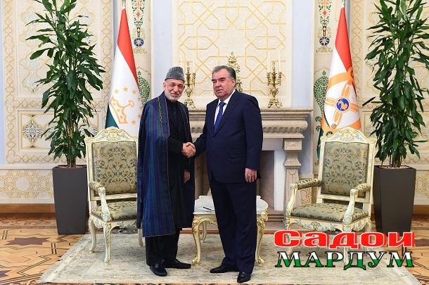 49058006593_bbe1bf2e48_o