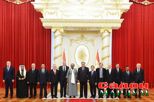 49093785538_55072e4919_o