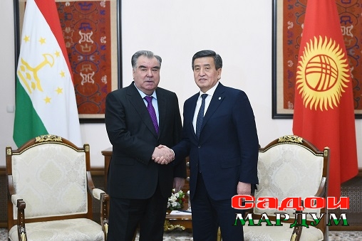 49132480256_c6b560e094_o