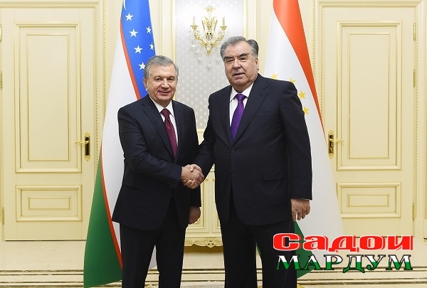 49137666578_366f2cdb5d_o