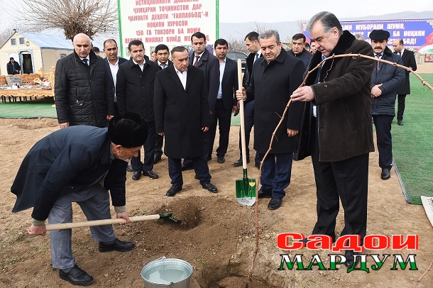 49252540566_88b57b7b25_o