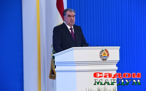 49278142092_e6488e5038_o