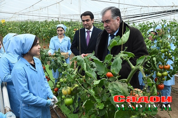 49320536158_b92aeffcd1_o