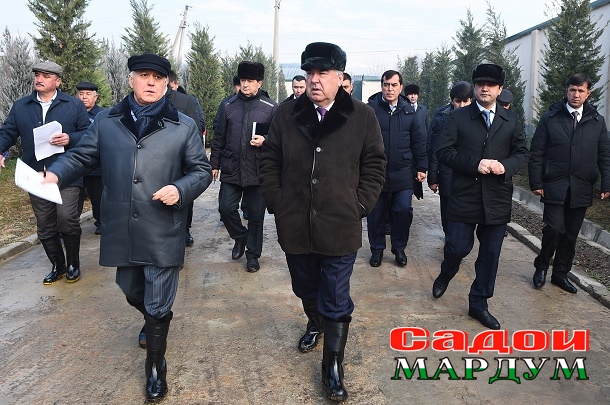 49350811852_3faee72284_o