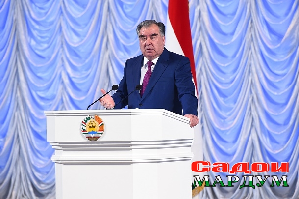 49629798801_c0e45f94df_o