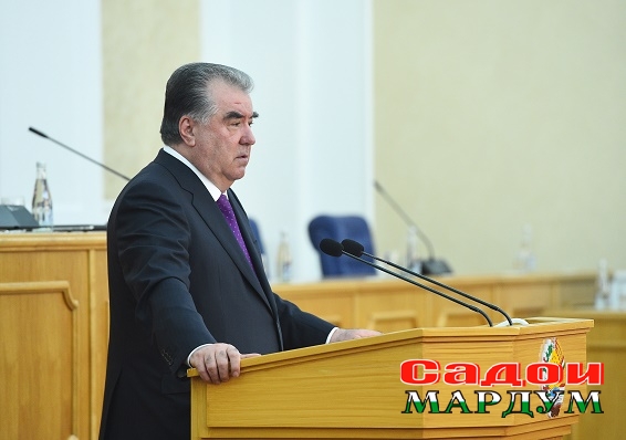 49668857761_e22fdbf86a_o