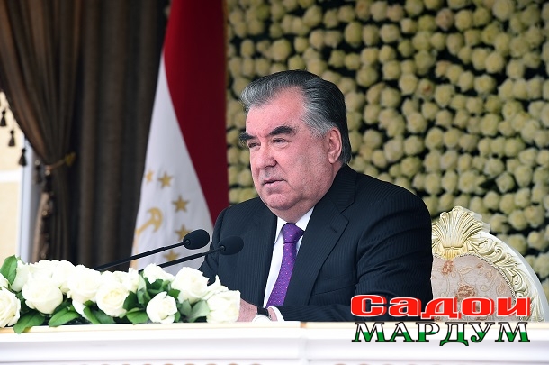 49690167297_1368bab06f_o