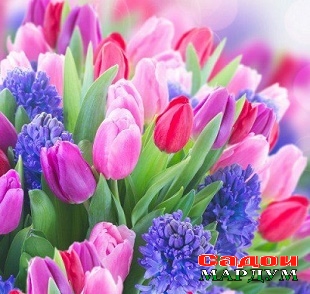 a4ab9b6ddea2b74b57c0871e04066c4f