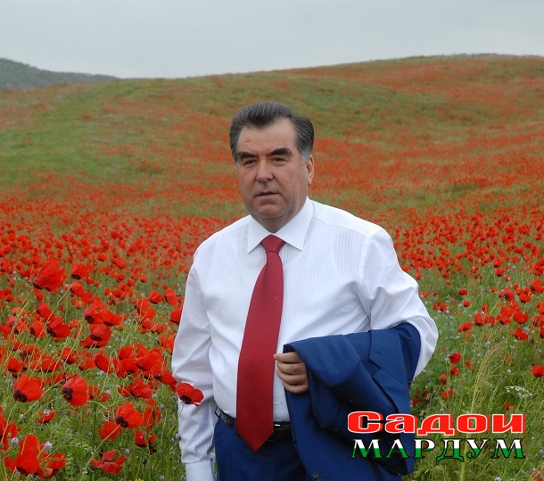 3-Гулу манзарахо (39)