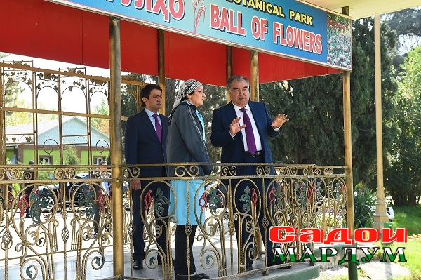 49741315763_b0364fa890_o