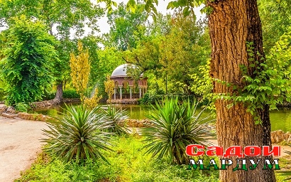ispaniia-maria-luisa-park-sevilla-park-prud-zelen-solntse-de
