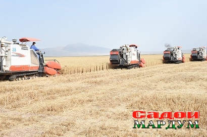 49944273341_06d5c67109_o