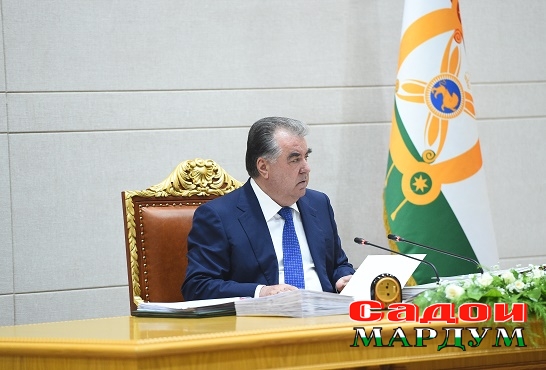 50043363603_12f024e4c5_o