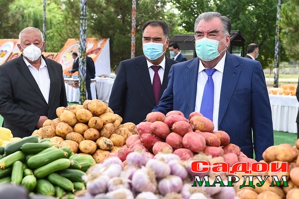 50060886026_7d28c303c2_o