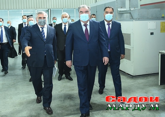 50064203321_e81077a9f8_o