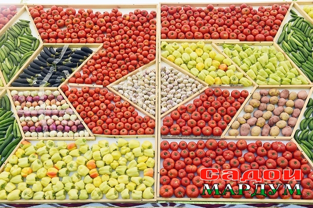 50067701003_24b3f2c0f2_o