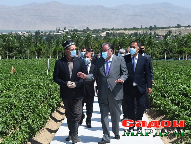 50068568602_2887457562_o