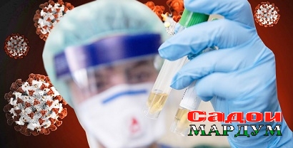 Без имени-1 копия