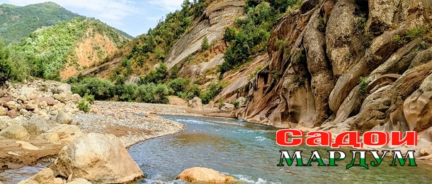 Сари Хосор1