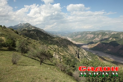 Сари Хосорё