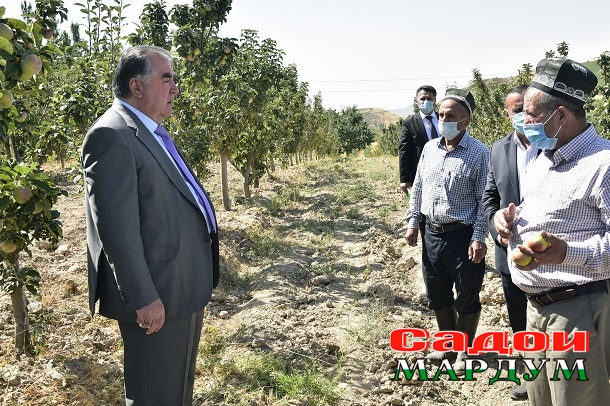 50191322343_d083d4476b_o