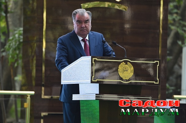 50244456538_acb5538020_o