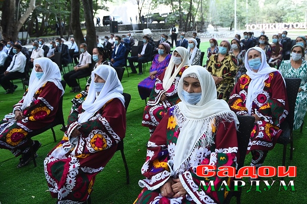 50245079051_abcc357f9b_o