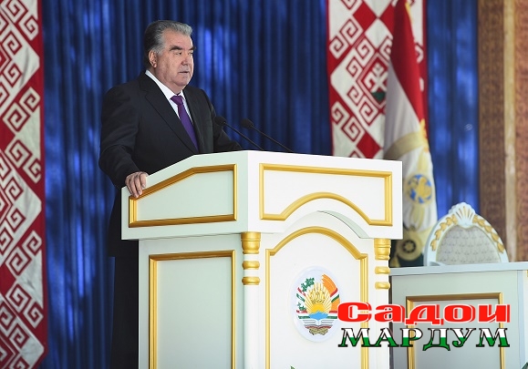 50253993868_90f92c7577_o