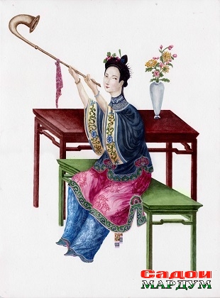 main_для_портф