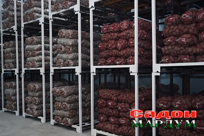 50293278391_1217b3e8db_o