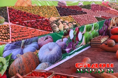 50332612023_3c0b79d279_o