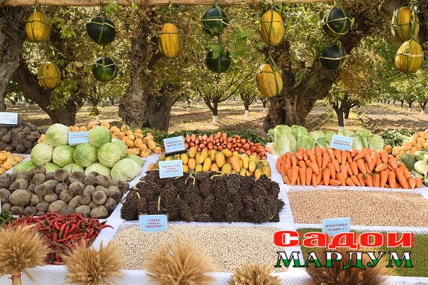 50496661403_16dc18132b_o