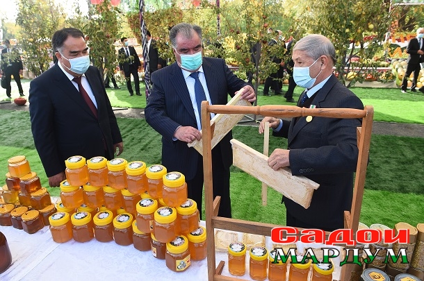 50497369606_03a3878a50_o