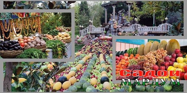 коллаж