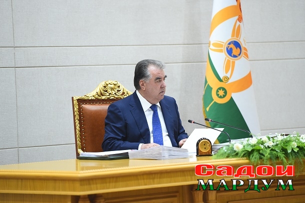 49837635257_aa2f8381e3_o