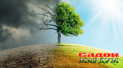 705d23c-screenshot-15