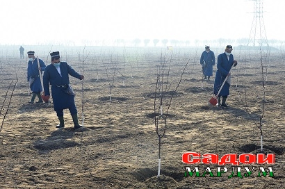 50904604157_12a568fde1_o