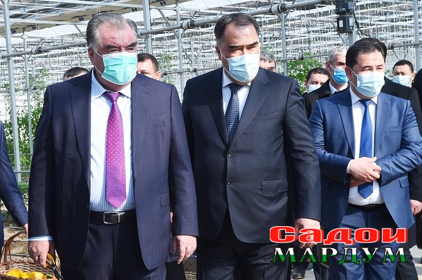 50904668862_5aee737cb5_o