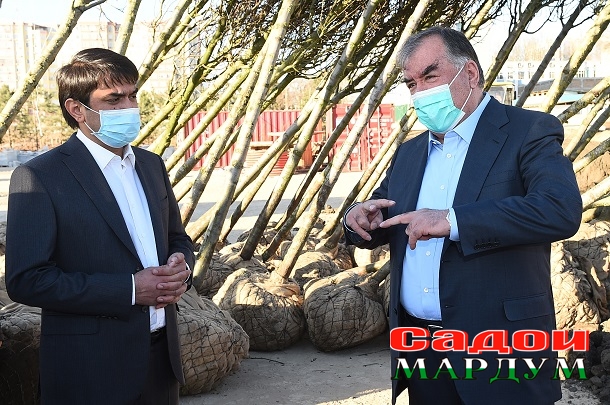 50949850877_7fb6dfdef5_o