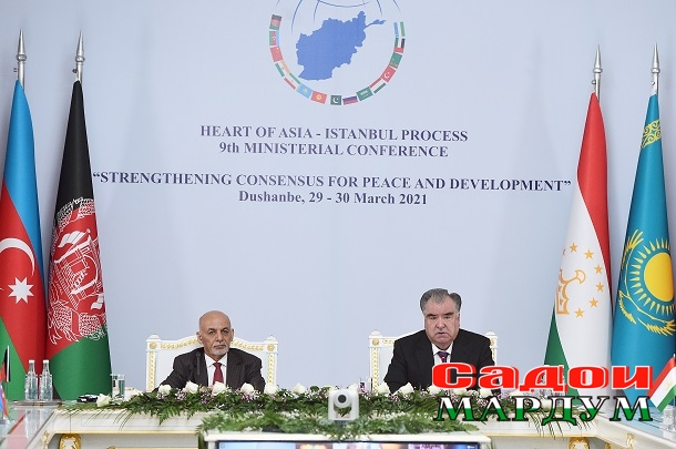 51083203366_f1c569b74f_o