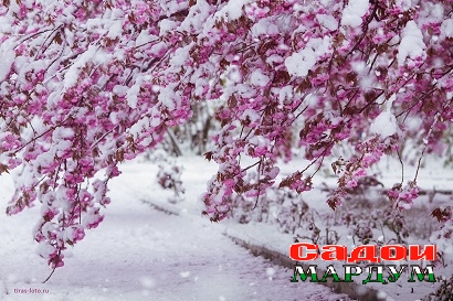 693d241e9d8d49c28a124a44896b0cc9.max-1200x800