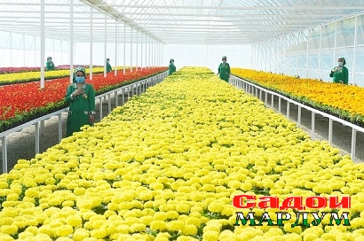 51107416340_82b724efc7_o