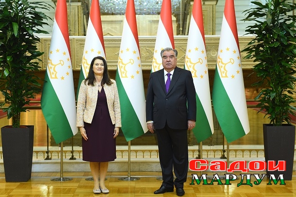 51116637522_b165e074dd_o