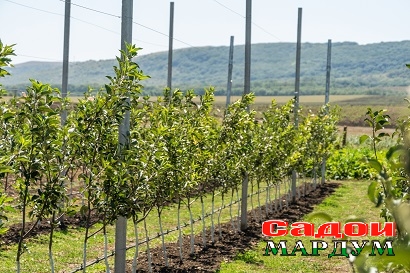 cb2ad6e66b44972b454899b95be9cbef