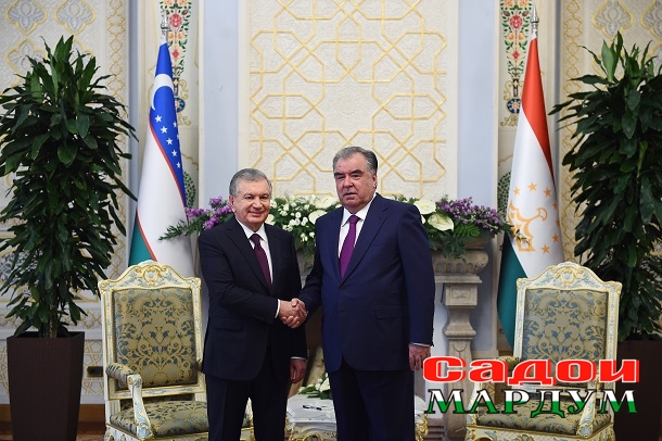 51237804868_d37d76117d_o