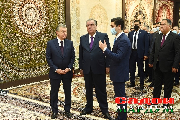 51239164932_343d86501b_o