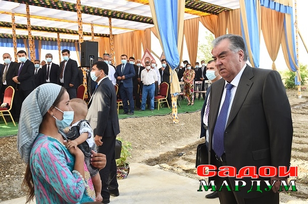 51249061815_918446e454_o