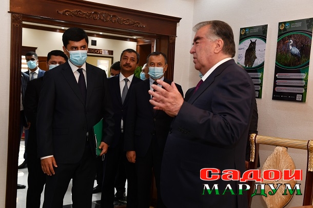 51250990594_fae3515d61_o