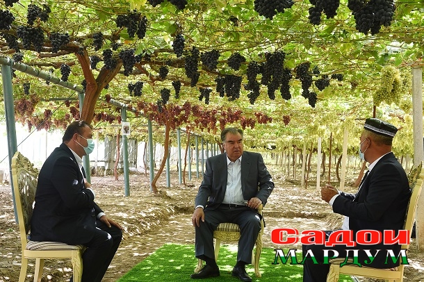 51403454056_c5428b96ca_o