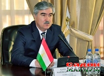Молия (3)